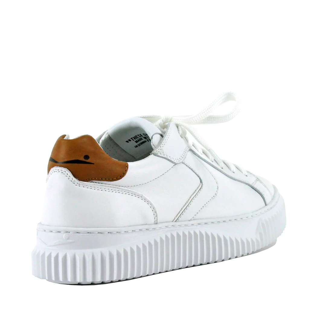 Lipari Leather Low Top Sneaker - Image 3